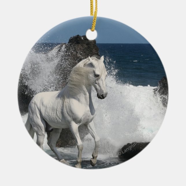 Ornement En Céramique Chevaux d'imaginaire : Mers du sud (Devant)