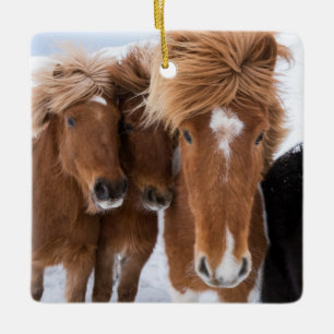 Ornement En Céramique Chevaux islandais se blottissent, Islande