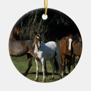 Ornement En Céramique Chevaux sauvages 1 de mustang