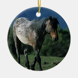 Ornement En Céramique Chevaux sauvages de mustang