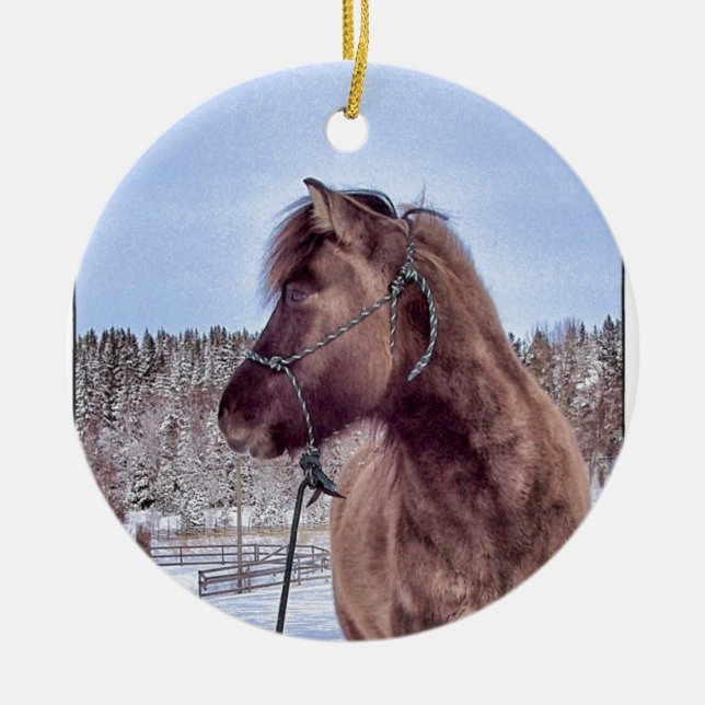Ornement En Céramique Chevaux-vapeur islandais (Devant)
