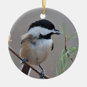 Ornement En Céramique Chickadee