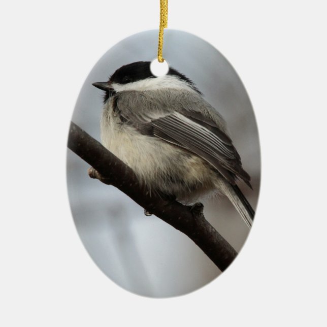 Ornement En Céramique Chickadee couvert par noir (Devant)