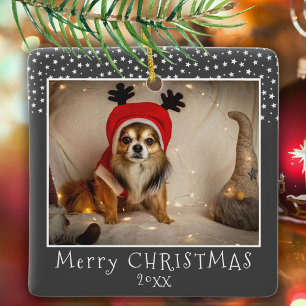 Ornement En Céramique Chien animal de compagnie photo Stars gris Joyeux 