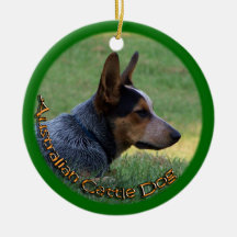 CHIEN AUSTRALIEN DE BÉTAIL - HEELER BLEU -