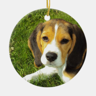 Ornement En Céramique Chien Beagle Animaux de Compagnie Paix Amour