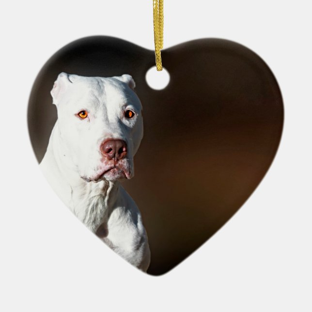 Ornement En Céramique Chien blanc de délivrance de Pitbull Terrier (Devant)