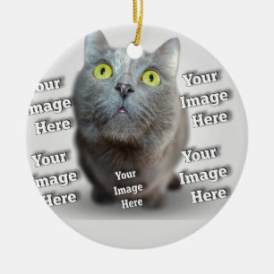 Ornement En Céramique Chien Chat Oiseau Fab Extraordinaire Photo