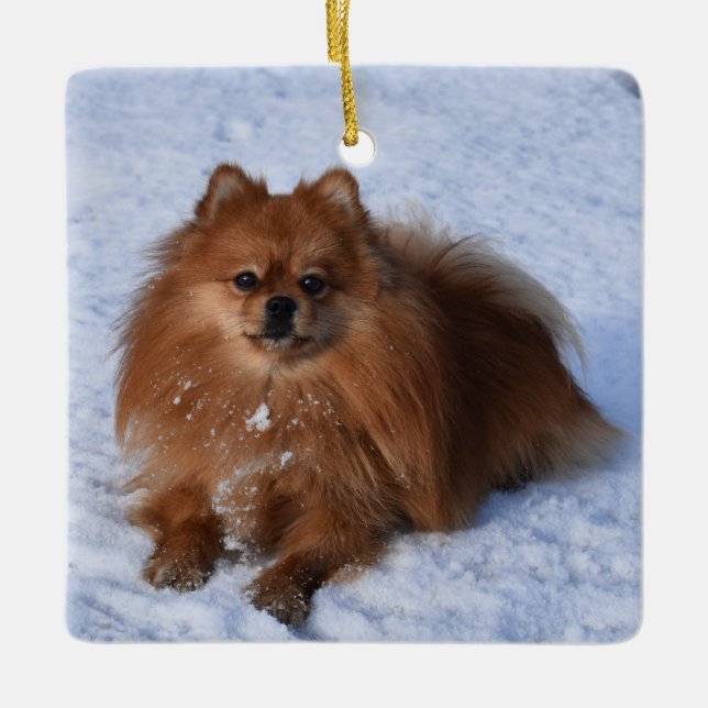 Ornement En Céramique Chien chiot roumain dans la neige (Devant)