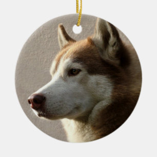 Ornement En Céramique Chien de Malamute d'Alaska