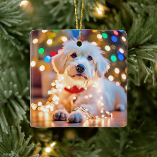 Ornement En Céramique Chien De Noël Tangé Dans Les Lumières