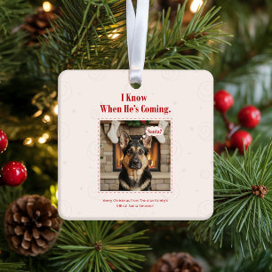 Ornement En Céramique Chien drôle et joyeux Photo de Noël Vacances
