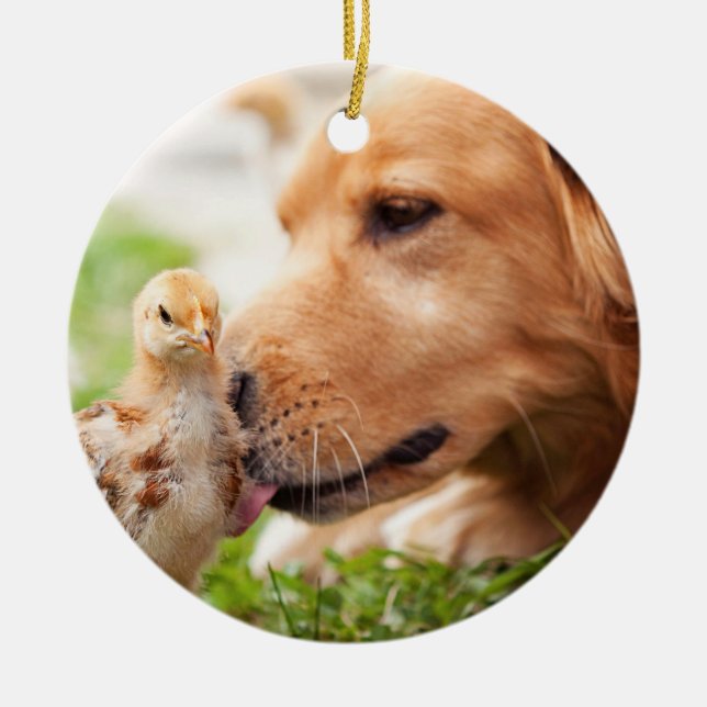 Ornement En Céramique Chien et poussin (Devant)