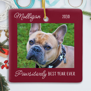Ornement En Céramique Chien mignon rouge Quarantaine Noël Animaux de com