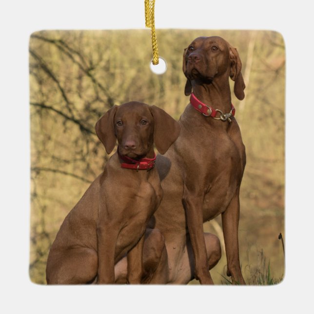 Ornement En Céramique Chiens à dos de Vizsla (Devant)