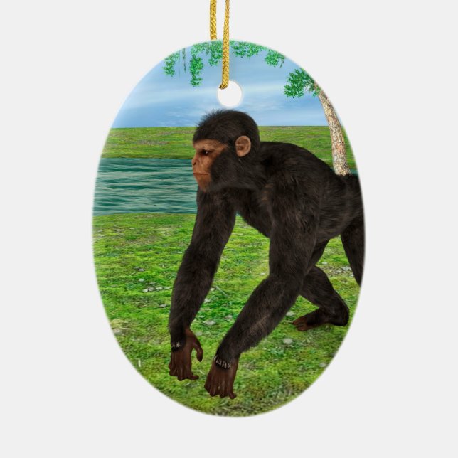 Ornement En Céramique Chimpanzé (Dos)