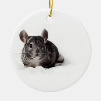 Ornement En Céramique Chinchilla gris mignon dans la couverture