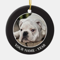 Chiot anglais de bouledogue