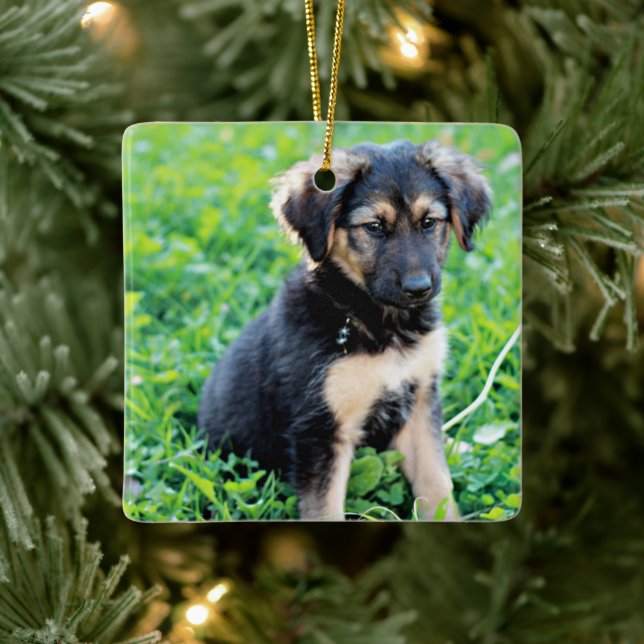 Ornement En Céramique Chiot de berger allemand (Arbre)