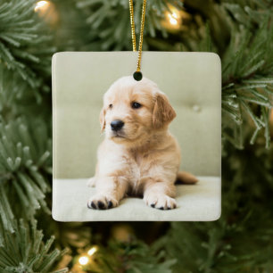 Ornement En Céramique Chiot d'or sur un canapé