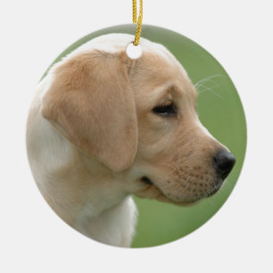 Ornement En Céramique Chiot jaune de labrador retriever