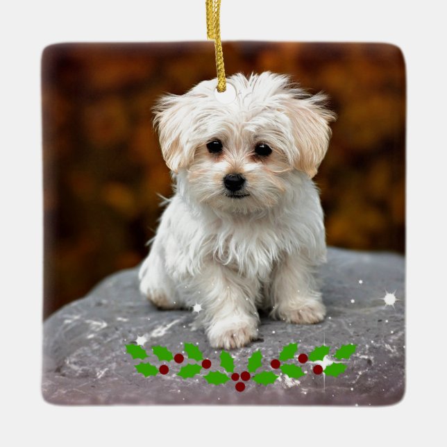 Ornement En Céramique Chiot maltais avec saint de Noël (Devant)