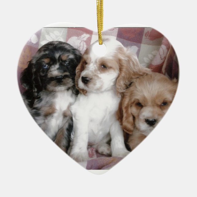 Ornement En Céramique Chiots américains de cocker (Devant)