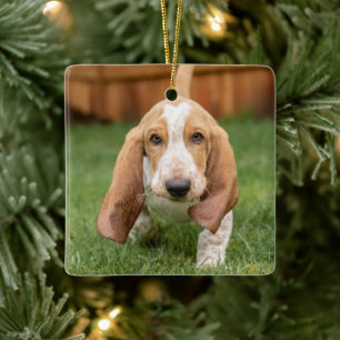 Ornement En Céramique Chiots Basset Hound en promenade