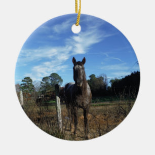 Ornement En Céramique Chocolat au lait Cheval Brown en bleu