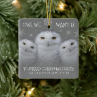 Chouette Nous Voulons Étendre Noël Cheer Chouette 