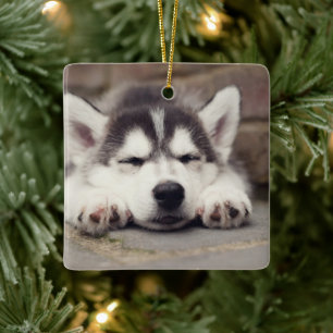 Ornement En Céramique Chuppy Husky Sleeping