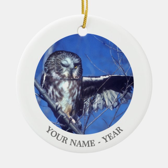 Ornement En Céramique Cligner de l'oeil le hibou (Devant)
