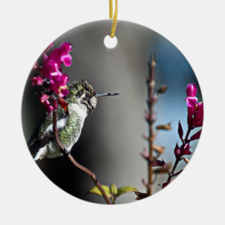 Ornement En Céramique Colibri