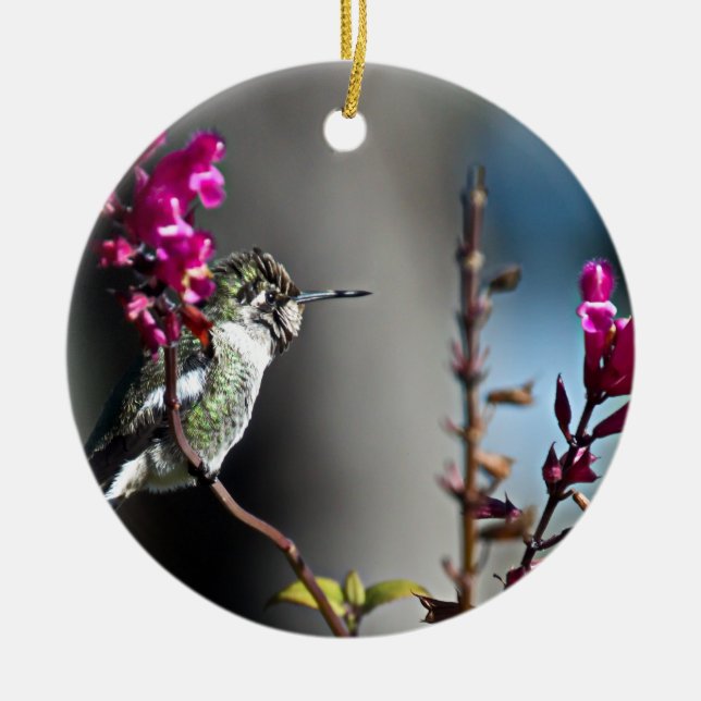 Ornement En Céramique Colibri (Devant)