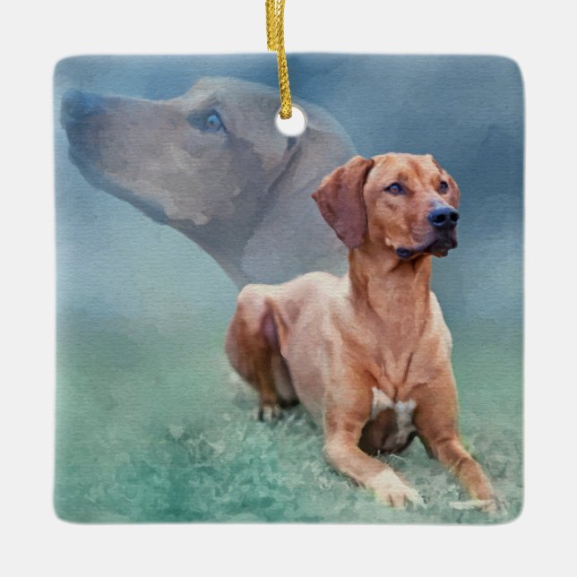 Ornement En Céramique Collage de chien de Rhodesian Ridgeback (Devant)