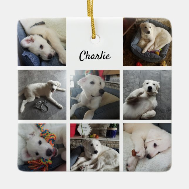 Ornement En Céramique Collage de photos de chiot chien mignon (Devant)
