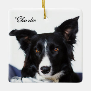 Ornement En Céramique Collie frontière noire et blanche personnalisée