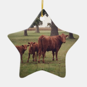 Ornement En Céramique Comment maintenant vaches Brown