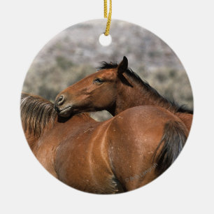 Ornement En Céramique Contact sauvage de chevaux de mustang