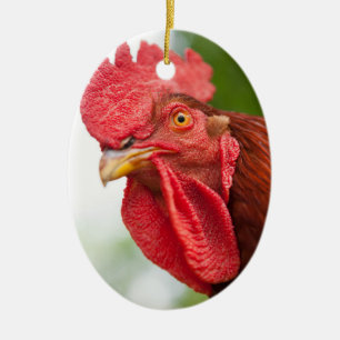 Ornement En Céramique Coq de rouge d'île de Rhode
