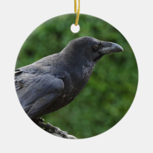 Ornement En Céramique Corbeau du Nord