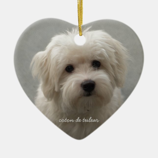Ornement En Céramique Coton de Tulear (Devant)