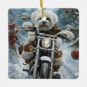 Ornement En Céramique Coton De Tulear Chien équitation Moto Noël