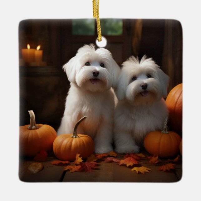 Ornement En Céramique Coton De Tulear Chiot Automne Citrouille délice (Devant)