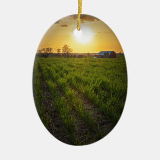 Ornement En Céramique Coucher du soleil de terres cultivables