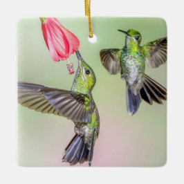 Ornement En Céramique Couple de colibri volant ensemble Nom