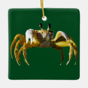 Ornement En Céramique Crabe