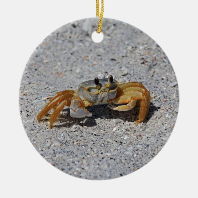 Ornement En Céramique Crabe de fantôme (Devant)