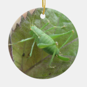 Ornement En Céramique Cricket vert sur une feuille d'anniversaire person