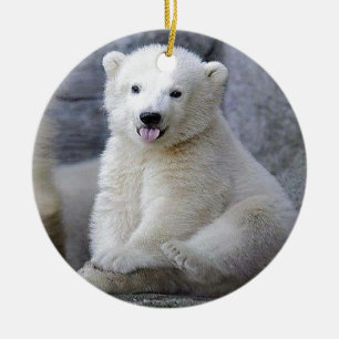 Ornement En Céramique Cube d'ours polaire